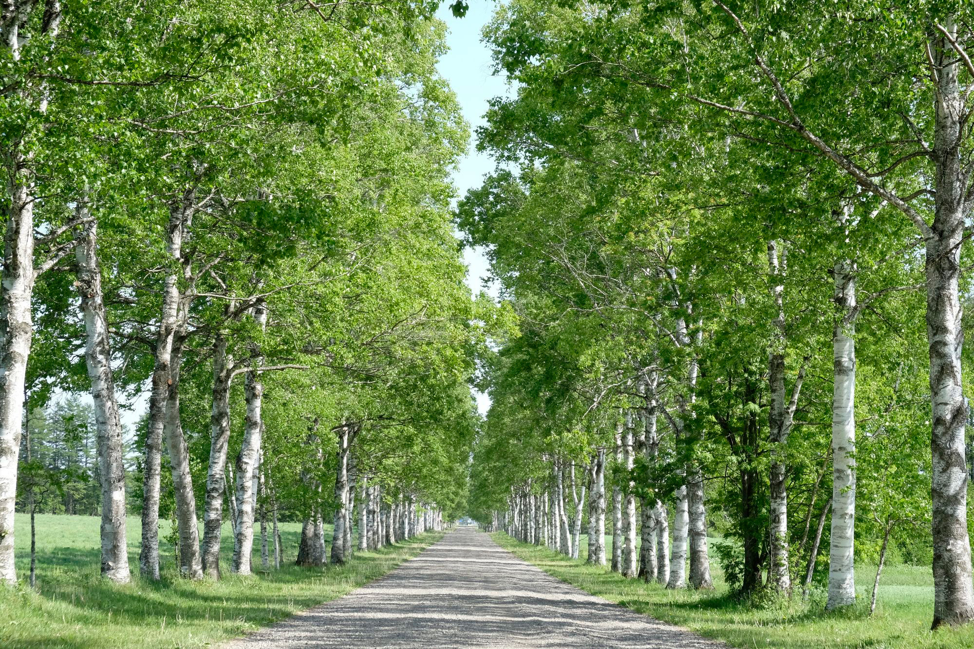 とかち鹿追ジオパークビジターセンター とかちフィルム・コミッション連絡協議会